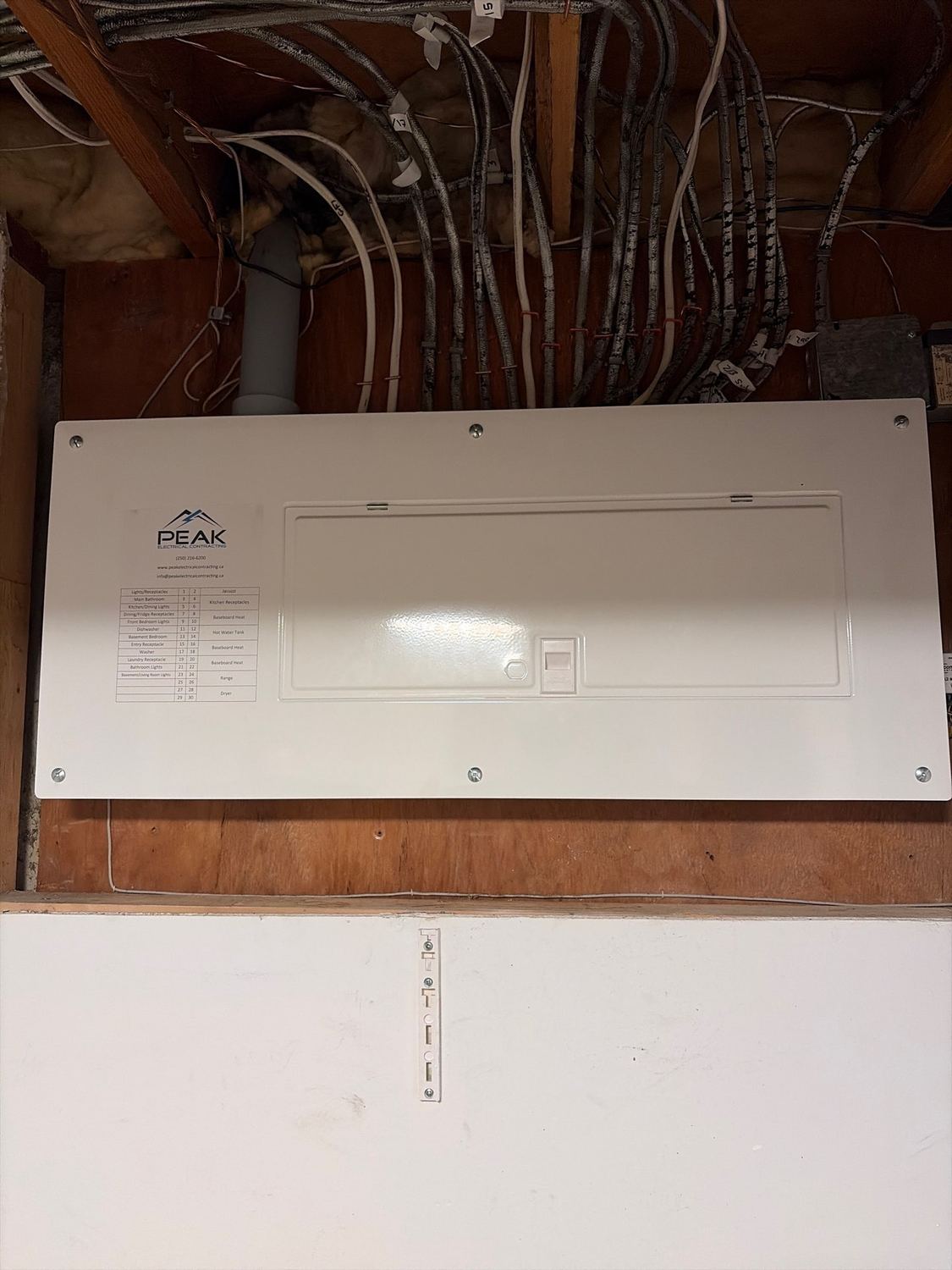 Tidy panel and conduit work by Peak Electrical